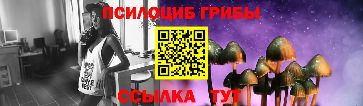 Псилоцибиновые грибы прущие грибы Выкса